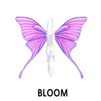 Bloom