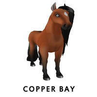 Copper Bay