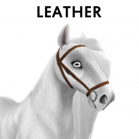 Leather Bridle