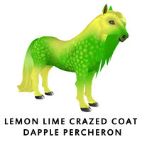 Lemon Lime Crazed Coat Dapple Percheron