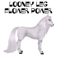 Looney Leg Flower Power