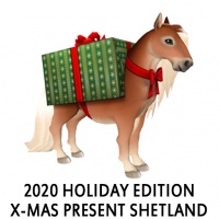 2020 Holiday Edition - X-mas Present Shetland