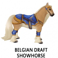 Belgian Draft Showhorse