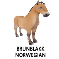 Brunblakk Norwegian