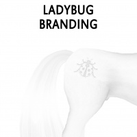 Ladybug Branding