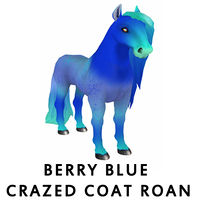 Berry Blue Crazed Coat Roan