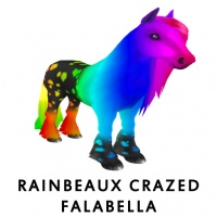 Rainbeaux Crazed Falabella