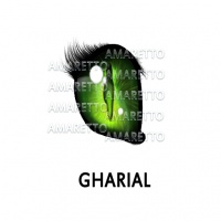 Gharial