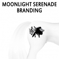 Moonlight Serenade Branding