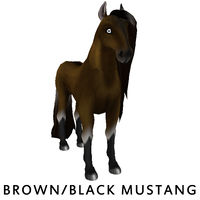 Brown/Black Mustang