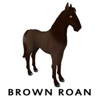 Brown Roan