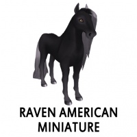 Raven American Miniature