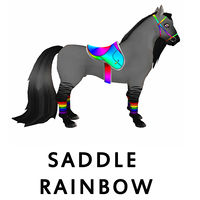 Saddle Rainbow