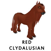 Red Clydalusian