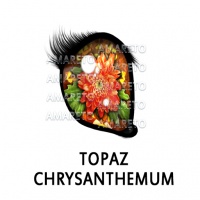 Topaz Chrysanthemum