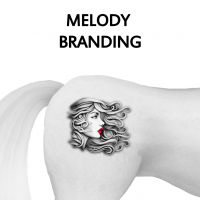 Melody Branding