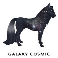 Galaxy Cosmic