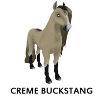 Cream Buckstang