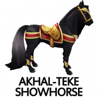 Akhal-Teke Showhorse