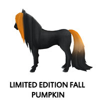 Limited Edition Fall – Pumpkin