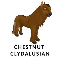 Chestnut Clydalusian