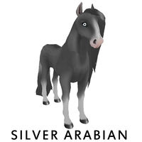 Silver Arabian