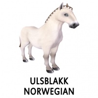 Ulsblakk Norwegian