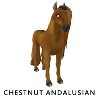 Chestnut Andalusian