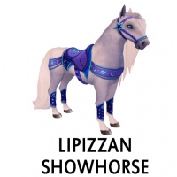 Lipizzan Showhorse