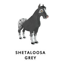 Shetaloosa Grey