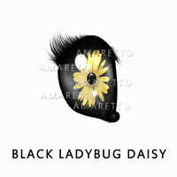 Black Ladybug Daisy