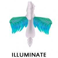 Illuminate Wing