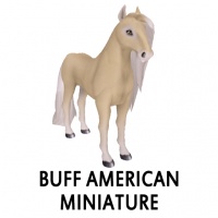 Buff American Miniature