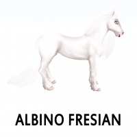 Albino Friesian Side