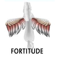 Fortitude