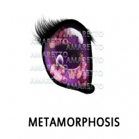 Metamorphosis