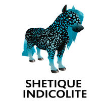 Shetique Indicolite