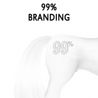 99% Branding