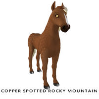 Copper Spotted Rocky Mountain