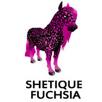 Shetique Fuchsia