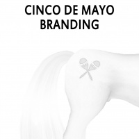 Cinco de Mayo Branding