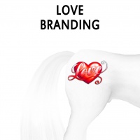 Love Branding