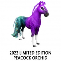 2022 Limited Edition Peacock Orchid