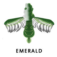 Emerald Wing