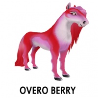 Overo Berry