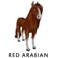 Red Arabian