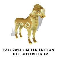 Fall 2014 Limited Edition - Hot Buttered Rum