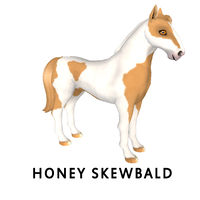 Honey Skewbald